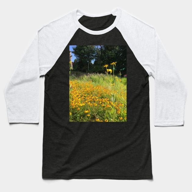 Black Eyed Susans Baseball T-Shirt by artdesrapides